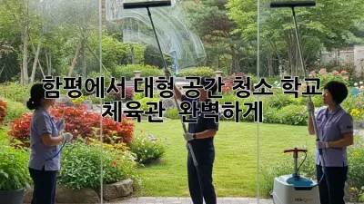 함평에서 대형 공간 청소, 학교 & 체육관 ✨ 완벽하게!